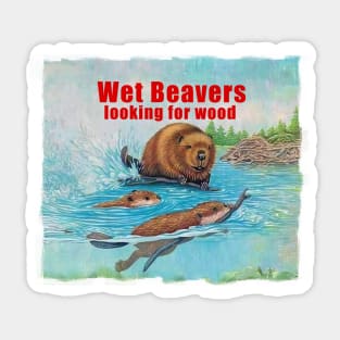 Wet Beavers looking for wood Sticker